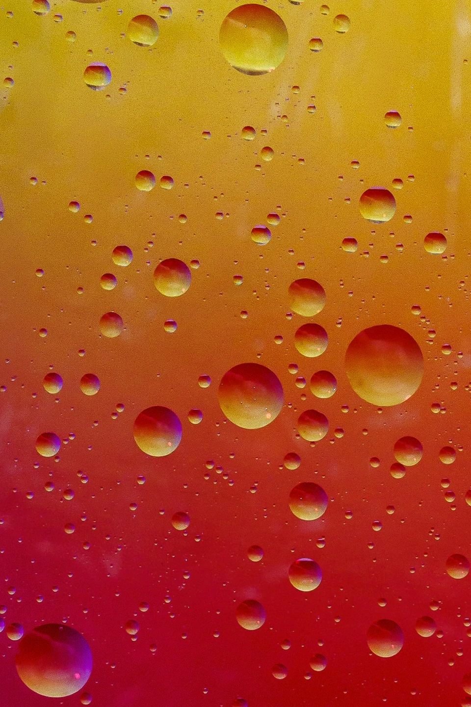 Abstracte macrofotografie van druppels in geel, oranje en rood